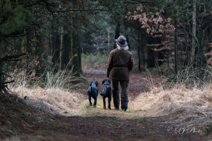 Labrador Retriever, Kennel Neatmoor, Jagthunde, Formel 1, Natur, Hundekennel, Markprøver, Jagt labrador, DKK, RJK, dommer, c-prøve dommer, instruktør, prøveleder, opdrætterkursus, DKK opdrætter, testmester, kennelmærke