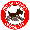 DKK-uddannet opdrætter, kennel, Labrador