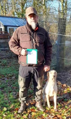 brugsprøve, labrador