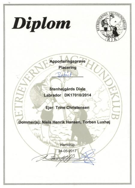 RJK, Diplom, Apporteringsprøve, Niels Henrik Hansen, Torben Luxhøj.